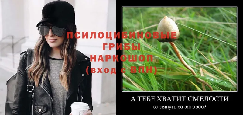 Галлюциногенные грибы Magic Shrooms  Агрыз 